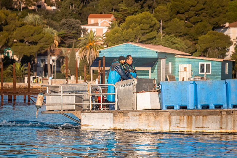 LES PARCS Les perles de Tamaris