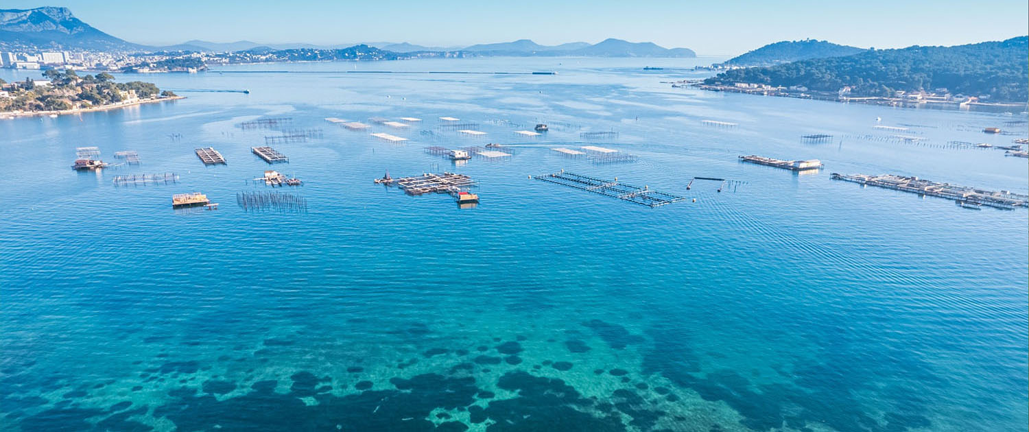 Photo de la baie de Tamaris