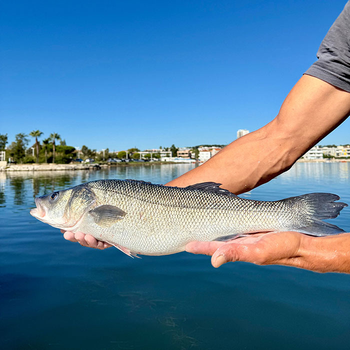 Design sans titre - 1